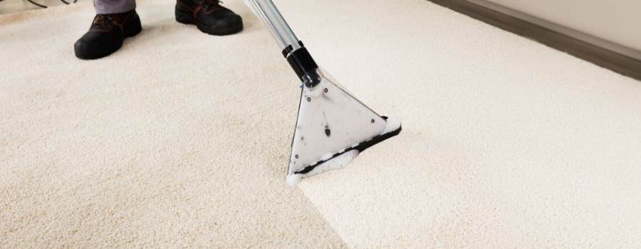 Eco-Friendly and Effective Carpet Cleaning Solutions