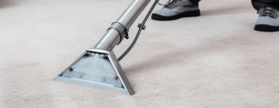 Contact Professional Carpet Cleaning Services