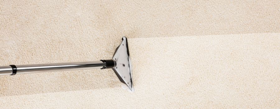 Contact a Professional Carpet Cleaning Company